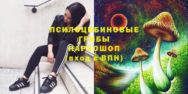 дживик Волоколамск