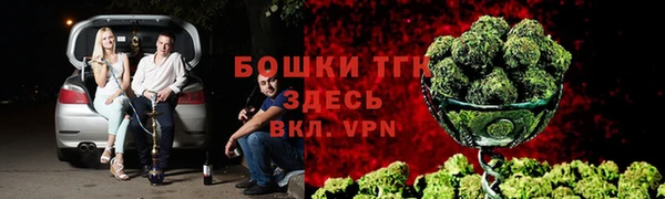молекула духа Володарск