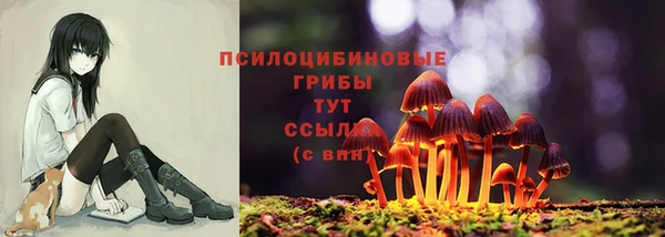 дживик Волоколамск