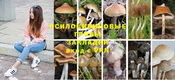 гидра Волосово