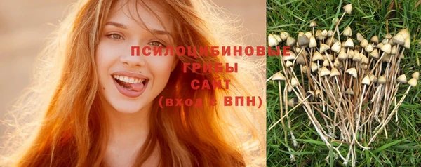 молекула духа Володарск