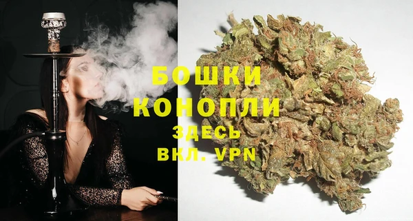 молекула духа Володарск