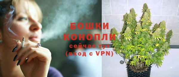 гидра Волосово